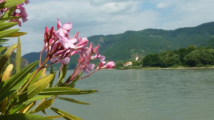 Wachau 2011 32